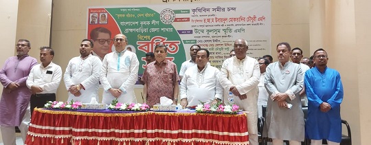 image-here